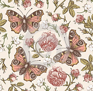 Seamless pattern peacock butterfly Realistic isolated flowers Vintage background Rose Wallpaper Drawing engraving agrostemma photo