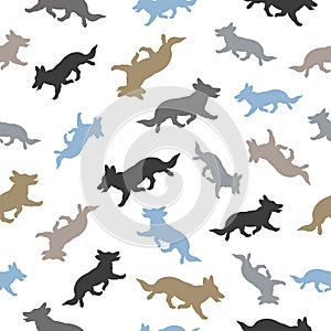 Seamless pattern. Pembroke welsh corgi different sizes and colors isolated on a white background. Endless texture. Pet