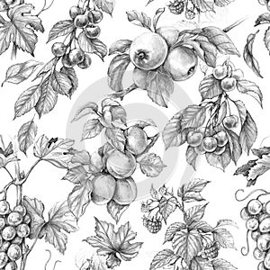 Seamless Pattern with Pencil Drawing Fruits