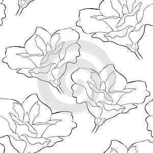 Seamless pattern Peony flowers eustoma indoor plants. vector illustration