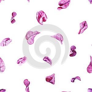 Seamless pattern with petals of bougainvillea