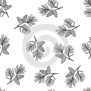 Seamless pattern with pine branches