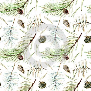 Seamless pattern of a pine branches and needle.