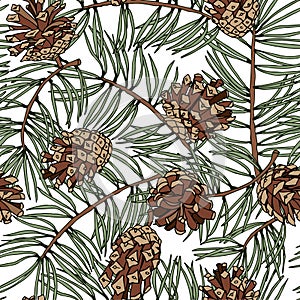 Seamless pattern of pine cones and branches.