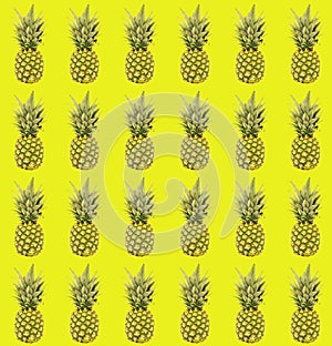 Seamless pattern of pineapple