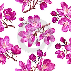 Seamless pattern with pink apple blossoms on branches.