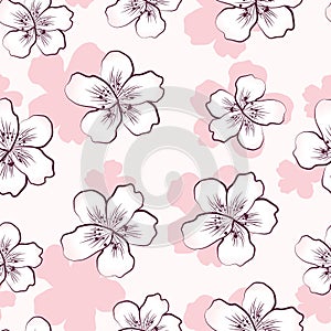 Seamless pattern with pink cherry blossom