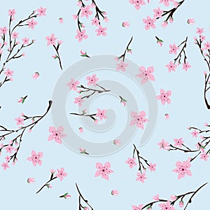 Seamless pattern of pink cherry flowers on light blue background