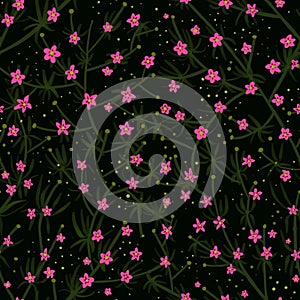 Seamless pattern of pink creeping flowers on a dark background. Design for dress, fabric, wallpaper. Cute pattern in