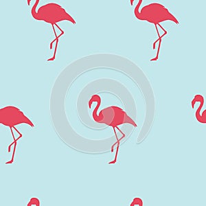 Seamless pattern with pink flamingo. Exotic bird