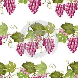 Seamless pattern of pink grape vines