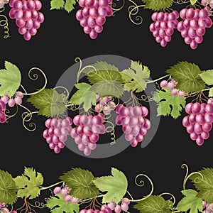 Seamless pattern of pink grape vines