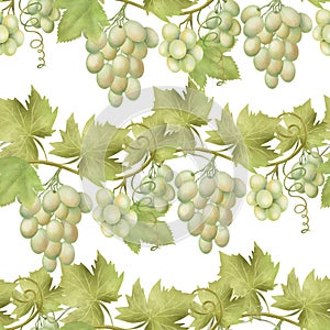 Seamless pattern of pink grape vines