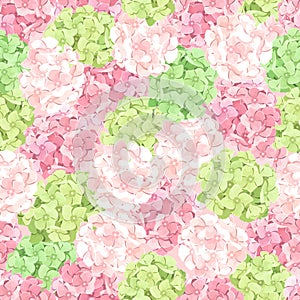 Seamless pattern with pink and green hydrangea flowers. Vector illustration.