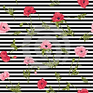 Seamless pattern with pink and red poppy flowers in botanical st