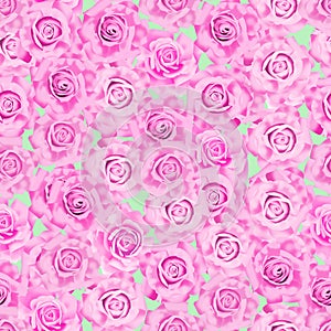 Seamless pattern of pink roses on green background