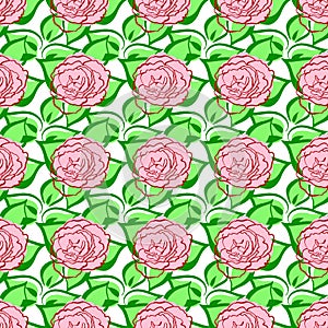 Seamless pattern with pink roses, green leaves. Hand draw flower. Line brush style. Vector background. For wrapping,