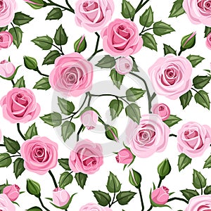 Seamless pattern with pink roses. Vector illustrat