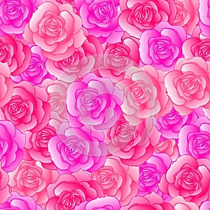 Seamless pattern with pink roses. Vector illustration.