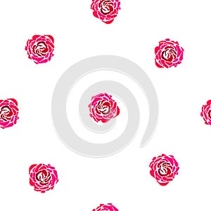 Seamless pattern pink roses on white background, vector design eps 10