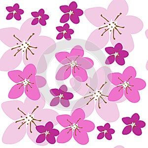 Seamless pattern pink sakura flowers on white background. Spring cherry blooming repeat drawing motif, vector eps 10