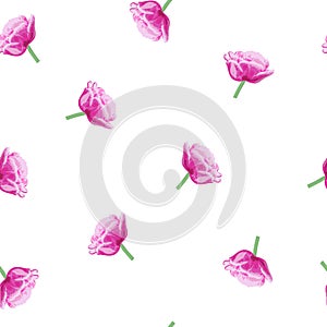 Seamless pattern of pink tulips flowers on white background, vector eps 10