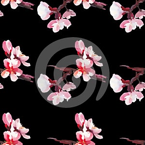 Seamless pattern with pink watercolor almond flowers. Black background.