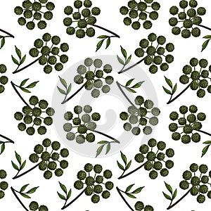 seamless pattern with plant of wild celery