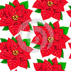 Seamless pattern of poinsettia