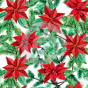 Seamless pattern with Poinsettia and fir tree.