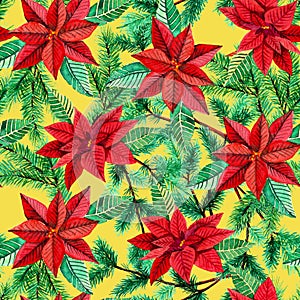 Seamless pattern with Poinsettia and fir tree on yellow background