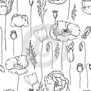 Seamless pattern with poppies. Black and white.