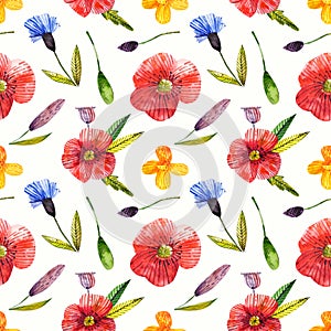 Seamless pattern with poppy, knapweed, harebell. Wildflower illustration.Natural hand drawing background .Great for