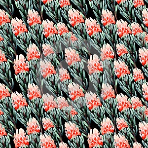 Seamless pattern with protea flower