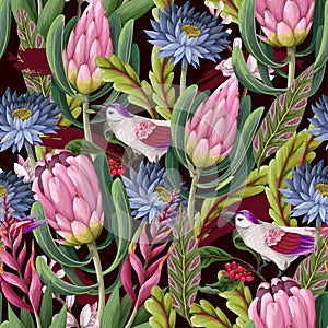 Seamless pattern with protea, tropical flowers and birds . Trendy floral vector print.