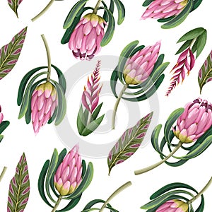 Seamless pattern with proteas flowers. Trendy floral vector print.