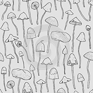 Seamless pattern with Psilocybin or hallucinogenic magic mushrooms photo