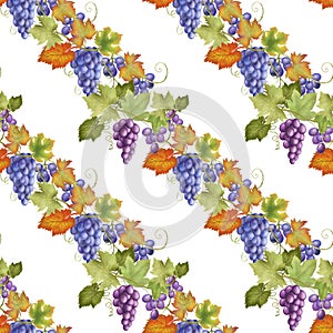 Seamless pattern of purple and blue grape vines