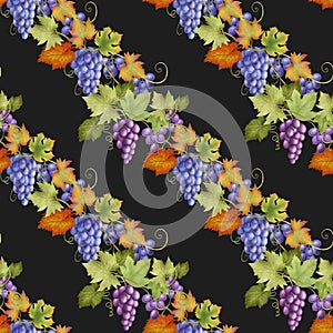 Seamless pattern of purple and blue grape vines