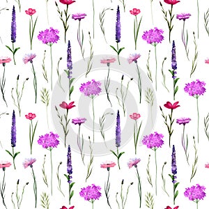 Seamless pattern of purple cornflowers and other meadow flowers