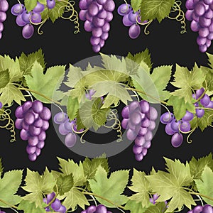 Seamless pattern of purple grape vines