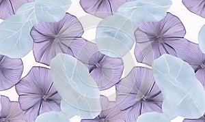 Seamless pattern with purple hydrangea flowers on white background