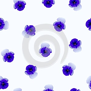 Seamless pattern of purple Pansy flowers on white background, vector eps 10