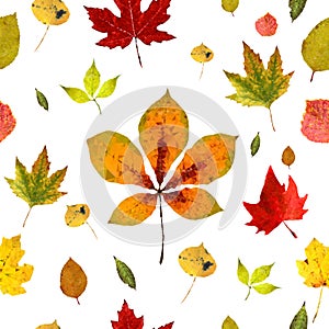 Seamless pattern of realistic autumn leaves. Low poly style. Vector illustration