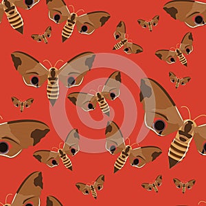 Seamless pattern. Realistic butterfly hawk on a red background. Insects in vector.