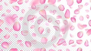 Seamless pattern with realistic flying pink rose petals on white transparent background. Repeating texture with