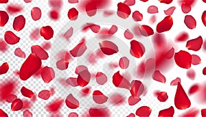 Seamless pattern with realistic flying red rose petals on transparent background. Repeating texture with voluminous