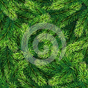 Seamless Pattern of Realistic Green Christmas Pine Tree Branches