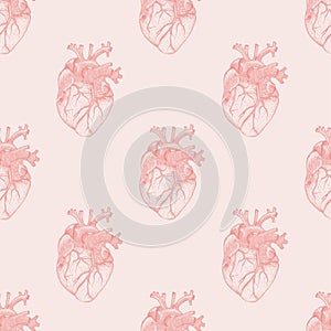 Seamless pattern with realistic heart . Anatomy organ illustration for textile or wallpaper with pink background