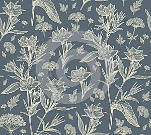 Seamless pattern realistic isolated flowers Bluebells Vintage background Drawing engraving Vector fabric illustration Hemlock